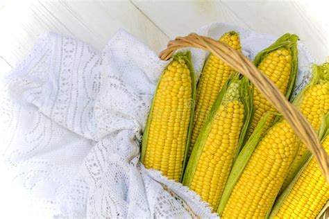 Fresh Corn On Cob In Wicker Basket Untreated Corn Cobs Fresh Corn