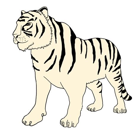 Cartoon White Tiger Clipart Best