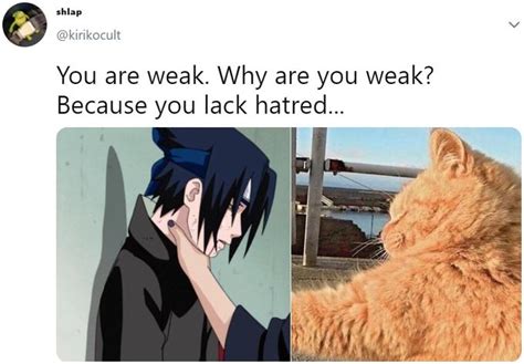 Naruto Sasuke Yelling Meme Humourve