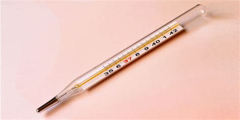 Why Is Mercury Used In Thermometer Is Mercury Harmful
