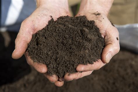 Shop For Premium Quality Topsoil For Raised Beds Or Planting Rollaturf