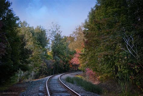 Autumn Tracks In Pennsylvania Photograph By Lena Wilhite Fine Art America