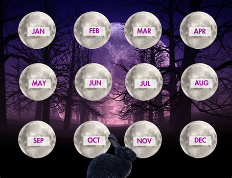 All The 2023 Full Moons A Helpful Calendar And Astrology Forecast For