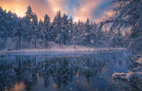 Wallpaper Winter Forest Trees Landscape Nature River Ate Norway