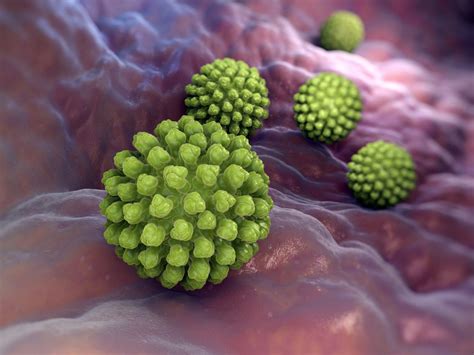 rotavirus sintomi contagio e vaccino ohga