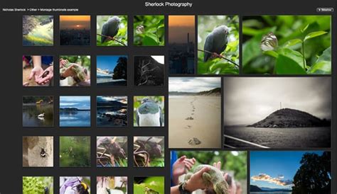 Clever Customization Turns Thumbnail Galleries Into Beautiful Image Montages PetaPixel