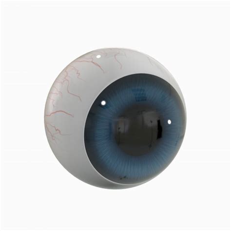 Eyeball 3d Models Download 3d Eyeball Available Formats C4d Max