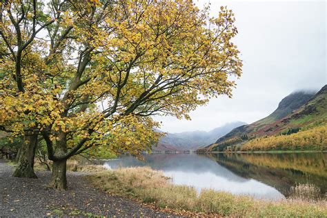 Stuning Autumn Fall Landscape Image Of Lake Buttermere In