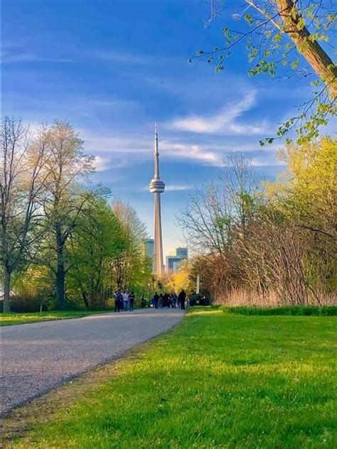 Hanlans Point Toronto Islands Toronto Island Toronto City Instagram