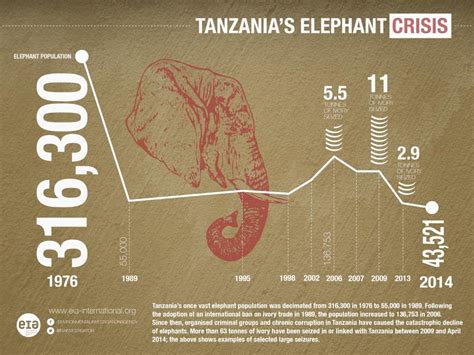 tanzania in denial and still trying to spin elephant poaching crisis eia