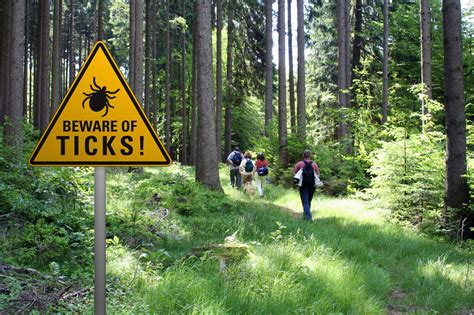 Ticked Off Protect Yourself From Lyme Disease Snowshoe Magazine