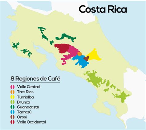 Viaje A Las Regiones Cafeteras De Costa Rica Essence Of Coffee