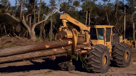 Excavator Tigercat Loading Log Truck Quick Loading Wood To Truck Log