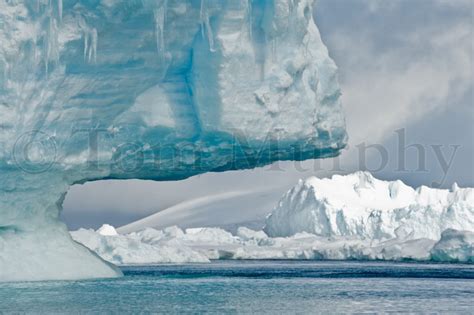 Iceberg Ocean Tom Murphy Photography