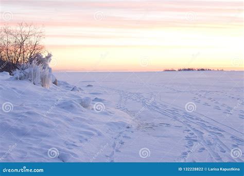 Calm Northern Snowscape With Beautiful Winter Sunrise Stock Photo