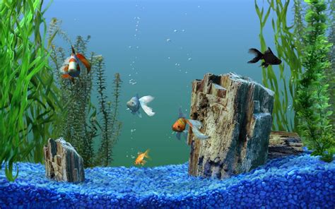 Aquarium Wallpaper Moving Windows 10 Wallpapersafari