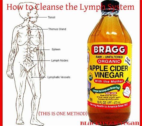 Soul Writings How To Cleanse The Lymph System Natural Living