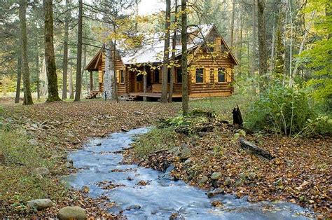 Rustic Retreat Log Cabin In The Woods