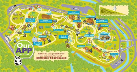 The Smithsonian National Zoo What To Know Before You Go A Traveling