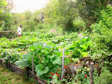 Un Potager En Permaculture Les Points Clés