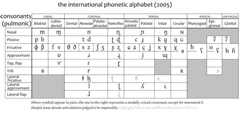 Biology How Does One Approach Phonology Notation For A Non Human