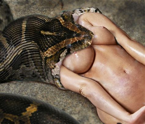 Voreville Snake Vore Quality Porno Images Comments