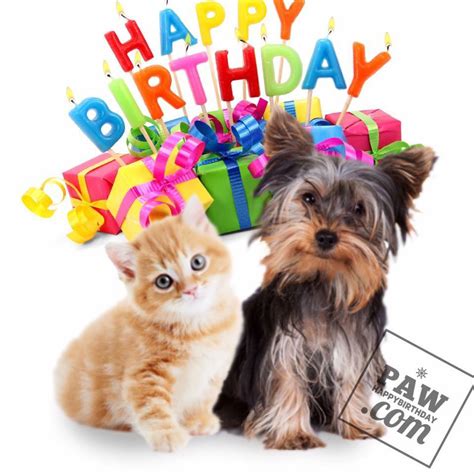 Happy Birthday Card Puppy And Kitten