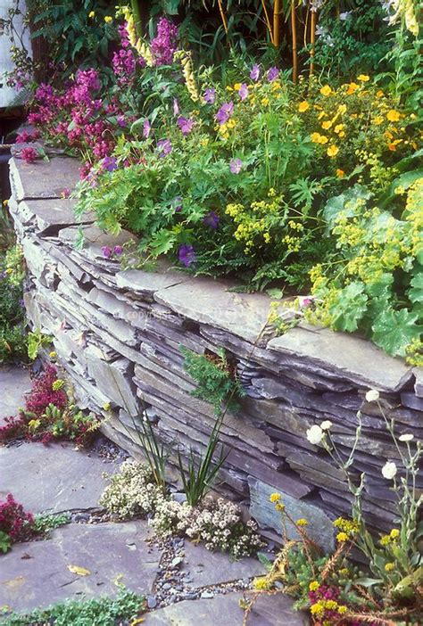 Herbs In Crevices Of Stone Path Thymes Thymus With Raised Bed Stone
