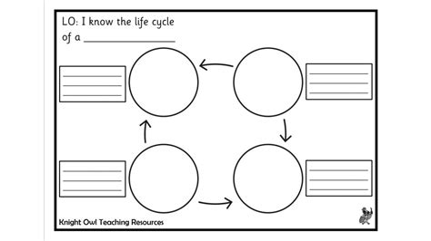 Blank Life Cycle Diagram