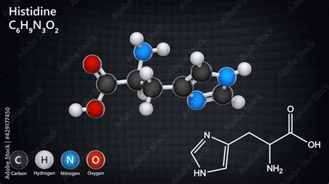 Histidine Symbol His Or H Is An Amino Acid That Is Used In The