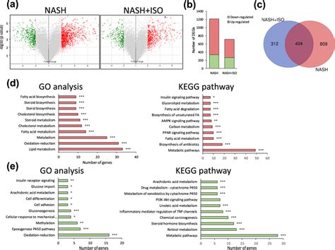 Hepatic Gene Expression Profile In Nash And Nash Iso Group Compared