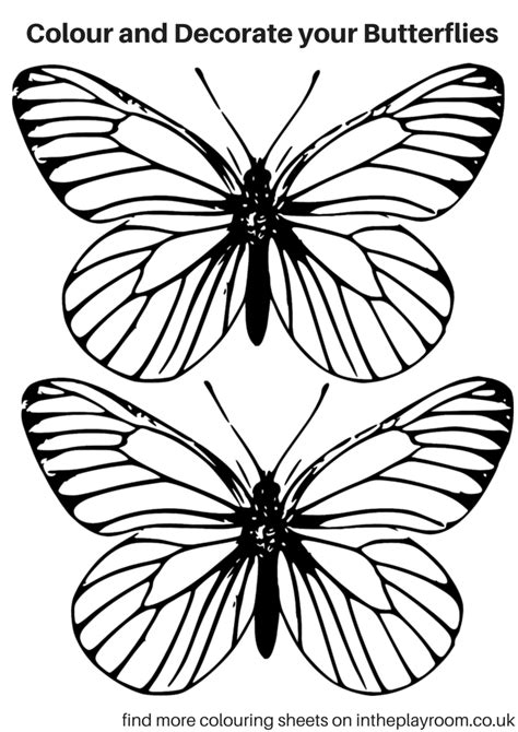 Butterfly of beautiful open wings. Free Printable Butterfly Colouring Pages - In The Playroom