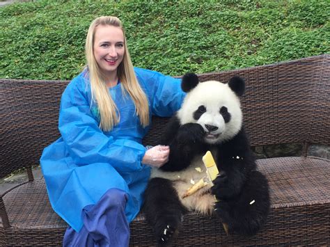 Hug A Giant Panda Panda Hug In Chengdu Dujiagniyan Wolongchina