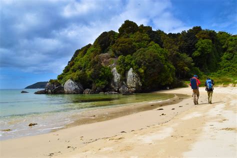 Reasons To Visit Stewart Island Viva Expeditions