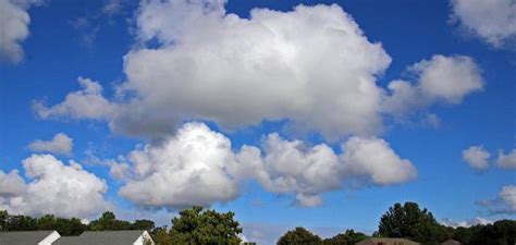 عودة ترامب للمسرح السياسى ليست مُزحة. طقس اليوم الخميس: غيوم بأغلب الجهات - Radio RM FM