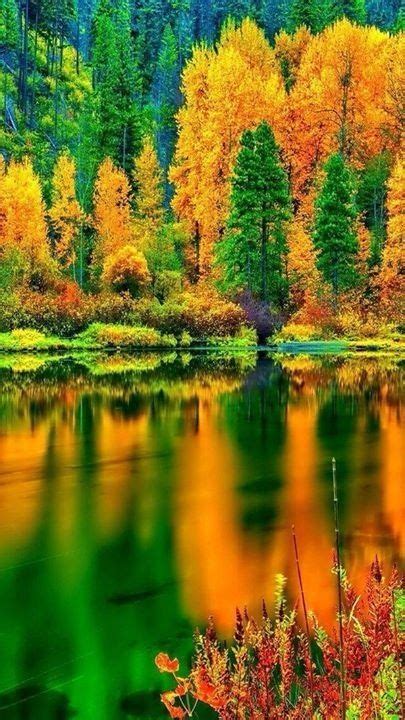 Autumn Reflections Fall Pictures Nature Pictures Beautiful Pictures