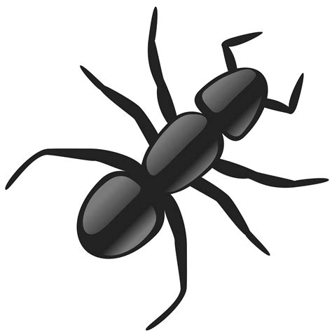 Insect Clipart Best