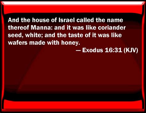 Exodus 1631 And The House Of Israel Called The Name Thereof Manna And