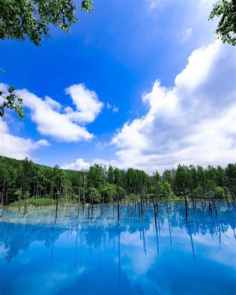 Japan Travel Hokkaidos Blue Pond In The Town Of Biei Definitely Lives