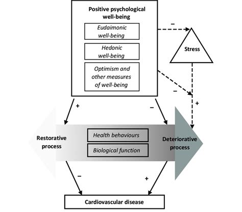 Model Of Positive Psychological Well Being Boehm And Kubzansky 2012