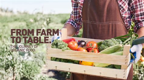 From Farm To Table The Journey Of Organic Food
