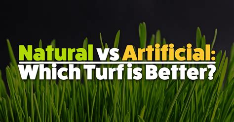 Natural grass requires several hours of work each week. Natural vs Artificial: which is better? | J&B Buffalo Turf ...