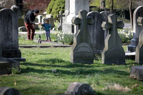 Are You Allowed To Walk Your Dog In A Cemetery