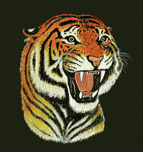 Tiger Roaring Portrait Painting By Nicola Fusco
