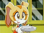 Cream the Rabbit • Sonic X • Absolute Anime