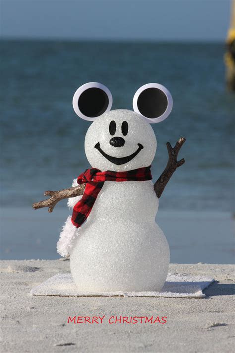 Mickey Mouse Snowman By Shari Bailey