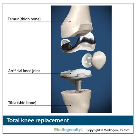 Complete Anatomy Of The Knee Bastatn