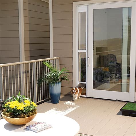 First, measure the size of your dog and also the size of his tummy. Sliding Glass Pet Door by PetSafe - GRP-SGPD