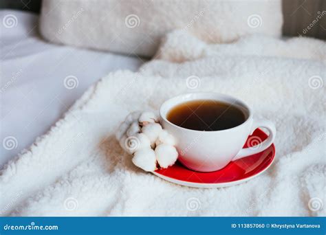 Morning Coffee In Bed Stock Photo Image Of Flower Copy 113857060