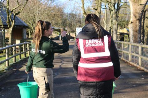 Vip Behind The Scenes Tour Blackpool Zoo